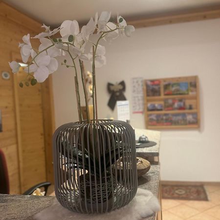 Garni Villa Elsa 博萨迪法萨 外观 照片