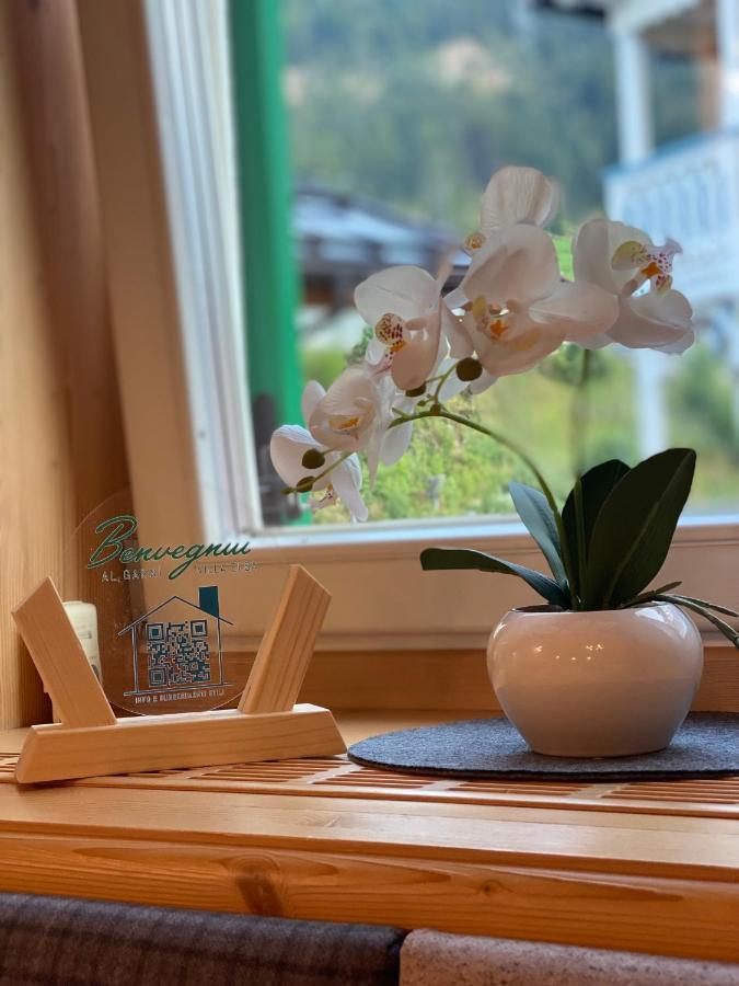 Garni Villa Elsa 博萨迪法萨 外观 照片